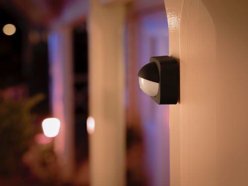 Philips infrared on sale outdoor light